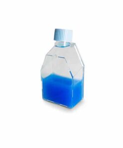 Frasco Para Cultivo De Células 75 Cm2 Tampa Plug (s/ Filtro)